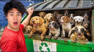 I Adopted 100 Dogs!