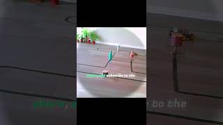 Line-Following & Obstacle-Avoiding Robot! #stem techforkids #stemforkids #roboticsforkids #diy #tech