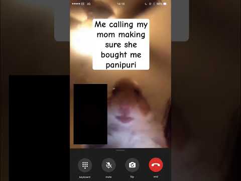 Relatable #memes #funny #pets #cute #satire #freecomedy #themanniishow #comedy #cobrakai #india