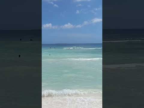 Another day in Panglao.