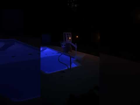 Oliver Anthony “Long Gone” #countrymusic