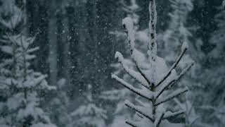 VJ Loops - Snow Falling Motion Graphics After Effect/Screensaver 4K/Wallpaper Engine/LED SCREEN