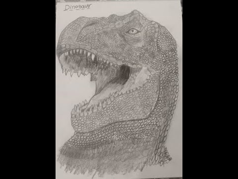 Dinosaur drawing