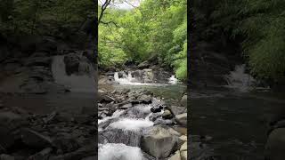 Such a amazing palce#viral #waterfall 🌊🤌#loction#monson #place #hiddenplace