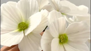How to make sugar flowers - Cosmos tutorial