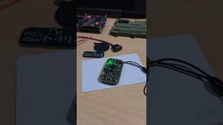 Chameleon Ultra Clone reads Mifare Classic 1K card via Phone App | NFC Demo #nfc #rfid