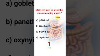Digestive system MCQ || NEET 2024 || Imoportant Questions ||