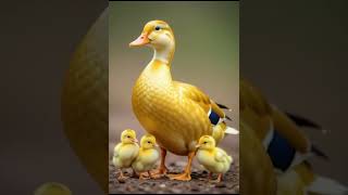 Beautiful story of the duck🦆 and the hen🐓#ytshorts #trending #shorts #ai #youtubeshorts