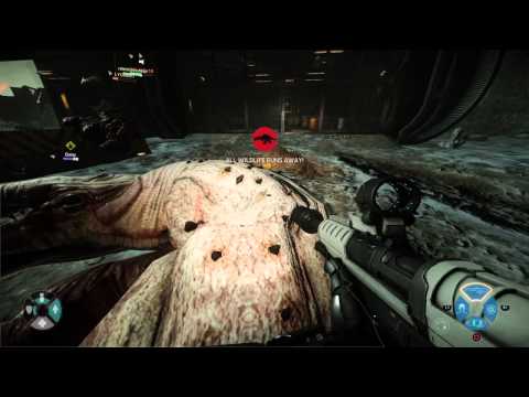 Evolve- Trying to be a good Medic