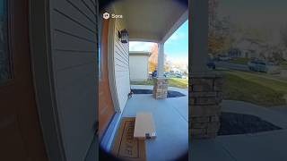Fearless Cat Scares Off Porch Pirate (Caught on Camera!)