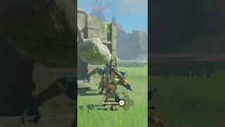 Whack-a-boko! #thelegendofzeldatearsofthekingdom