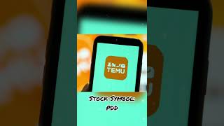 Who is Temu? #temu #stock #money #finance #shorts #shopping #educational #school