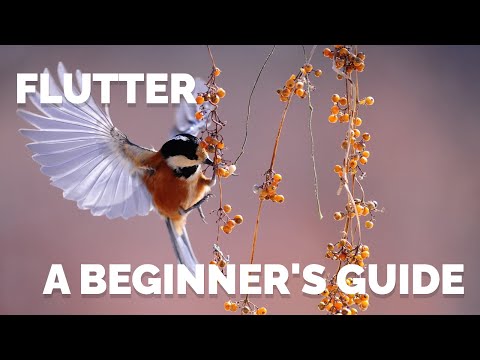 Flutter - A Beginner's Guide to Setting Up Flutter on Your Development Environment