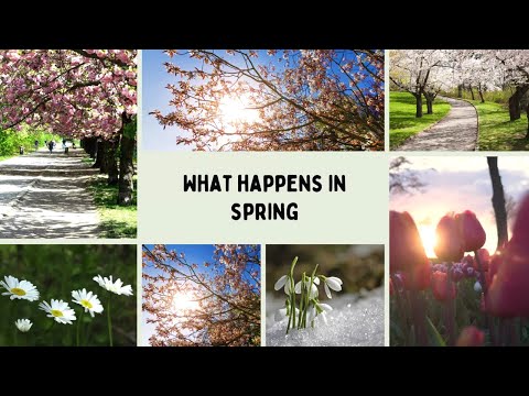 What Happens in Spring | ESL/ESOL | English Task