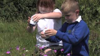 Easi-Scope Wireless Microscope from TTS Group