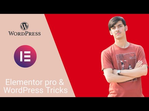 WordPress tips and tricks for beginners | Post in Menu | Elementor Pro