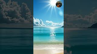 The Bear Roots Reggae  #shorts #short