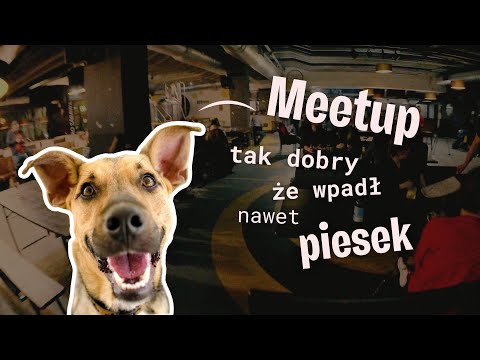 Meetup tak dobry, że odwiedzają go nawet pieski | #14 F/UX/UI meetup