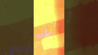 Automatically scale & frame size your videos in premiere pro  #shorttutorials