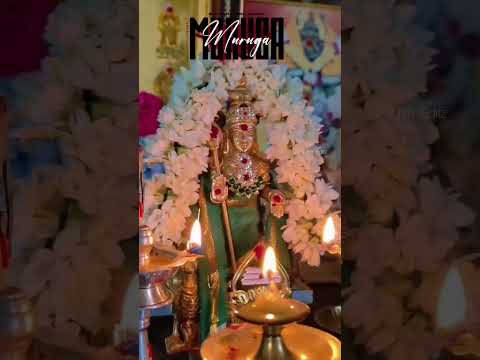கார்த்திகை 🦚 சஷ்டி விரதம்#ஓம் முருகா # கந்தா போற்றி