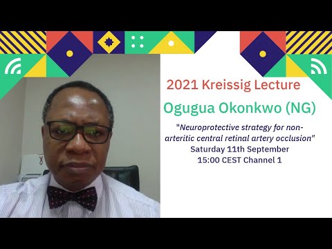Preview EURETINA 2021 Kreissig Lecture