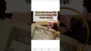 #কুরআনের_আলো  #হাদিসের_বাণী  #আল্লাহর_বাণী  #নবীর_বাণী  #তাফসির@esoundmusicbd @RahmanerInfo