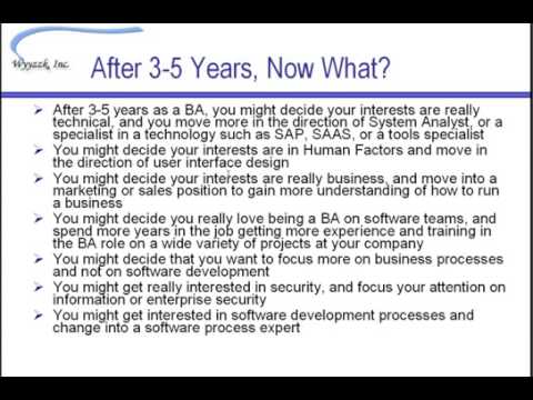 Business Analyst Career Paths - non-Executive