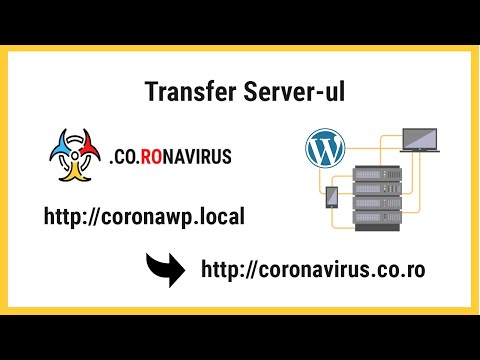 Ep #7 - Transfer server - website coronavirus
