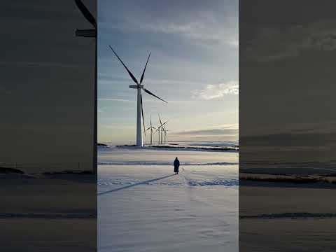 winter emotion