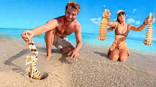 GIANT MANTIS SHRIMP Catch & Cook