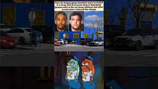 The law in my city is literal bonkers! #nyccrime #meme