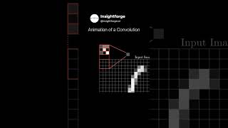 How Convolutions Read an Image