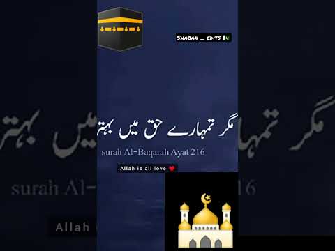 (Status vedio)#islamicstatus #labaikyarasoolallahﷺ