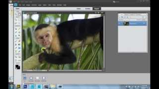 Five Minute Photoshop Tutorial #4: Image Editing Basics