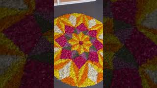 Onam 2k25 @Techzmatrix2016 #onam #onamspecial #onam2k25#careerintech #technopark