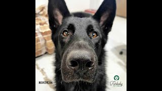 FURBABY PET CARE SEPTEMBER 2025