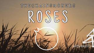 DJ Santuy - Roses ( Aldy Axello Remix ) FUNKY NIGHT 2020