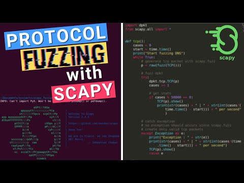 Fuzzing with Scapy: Introduction to Network Protocol Fuzzing