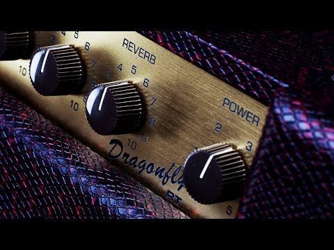 633 Engineering Dragonfly RT 5 Watt Combo Demo