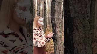 Navigation Made Easy: You Can’t Get Lost! 🔥 #Shorts #Camping