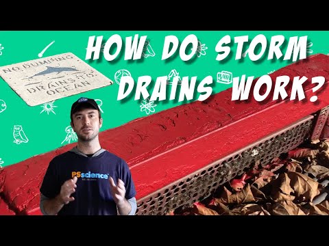 How Do Storm Drains Work?
