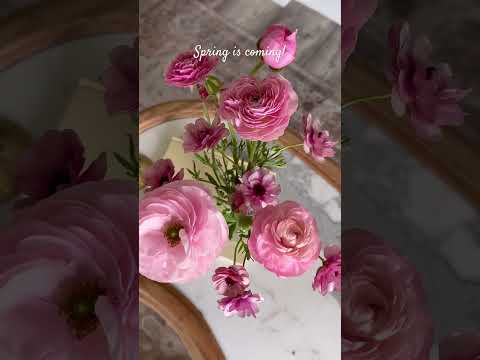 Just a little over a week until Spring! #springcountdown #cottagegarden #flowerdesign