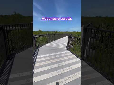 You need to see Florida state parks! #floridaliving #travel #lovefl #stateparks #floridarealtors