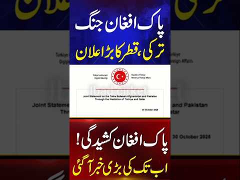 Pak–Afghan vs Pakistan  | #shorts #shortsfeed #viralshort