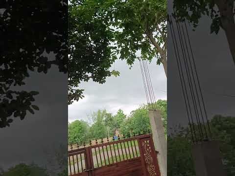 Rains in Assam