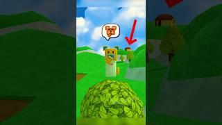 Edge House Mystery Super Bear Adventure #superbearadventure