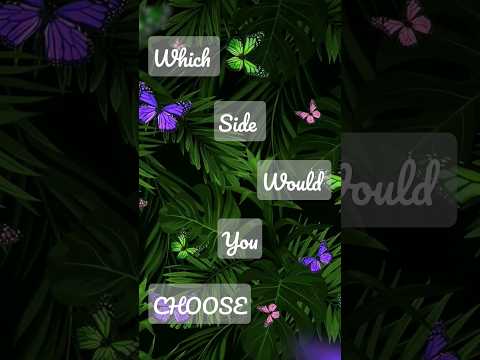 Pick your favorite side 🦋