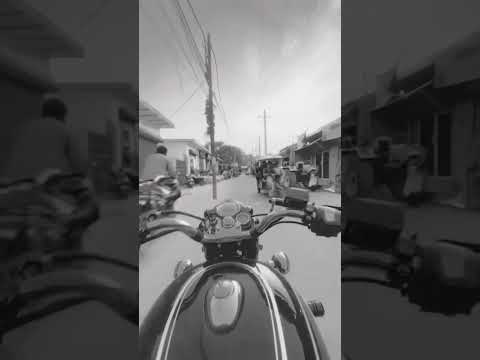 Ghodey pe Sawaar hai|mood off|bullet rider|qala Movie status song #viral