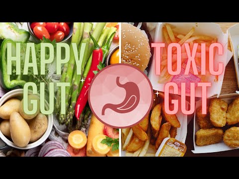 The Shocking Gut Health Mistake You're Making Every Day
