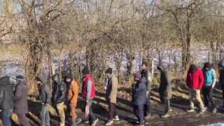 distribution in Serbia #Horgos #Subotica